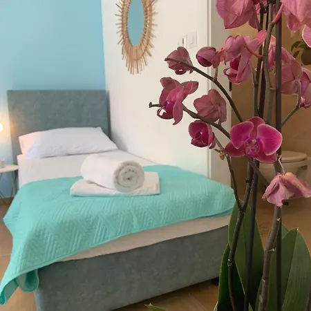 招待所 Madonna Ii 杜布罗夫尼克